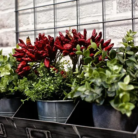 Lejlighed La Porta Sul Vaticano